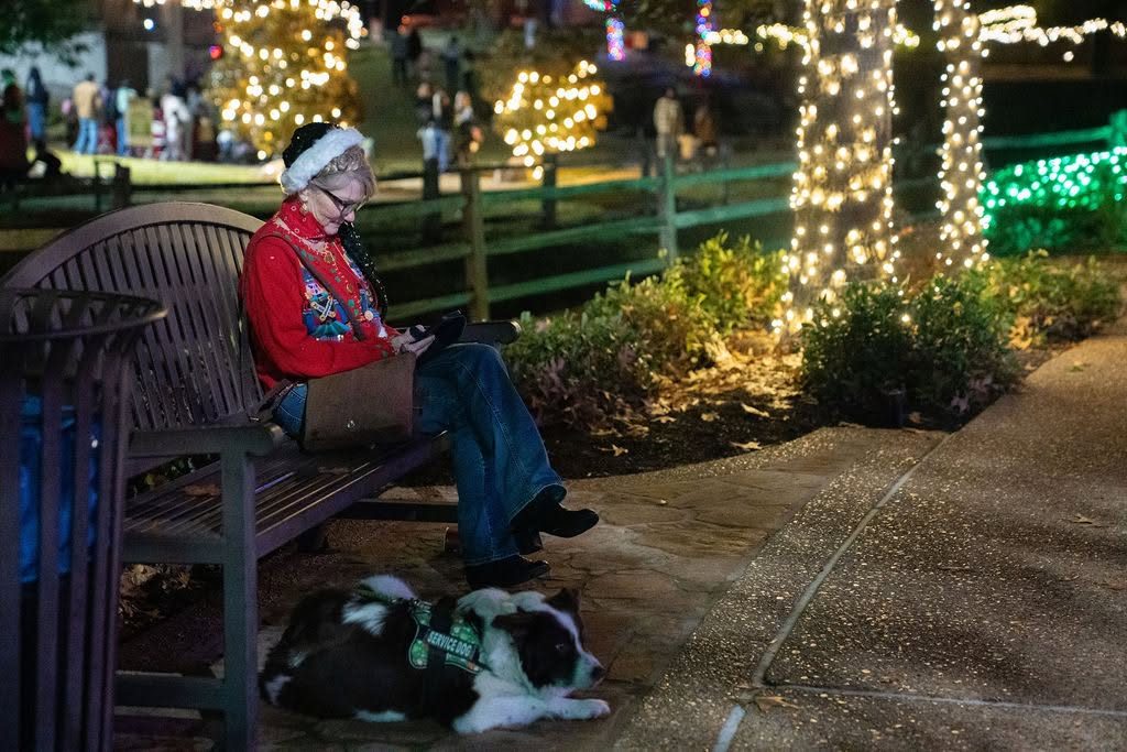 Person and dog beside a park path surrounded by festive tree lights
